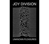 Poster Joy Division - Piaceri sconosciuti 24 x 36 pollici Ufficio