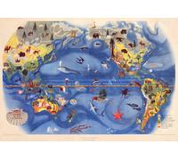 Poster Mappa Flora Fauna del Pacifico World Wildlife Wall Art -...