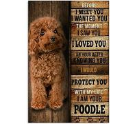 Poster Metallo Decorative Targa In Metallo Retrò Targhe Metallo Per Soggiorno Club Casa 20X30Cm Il Barboncino Ti Protegge, Regalo Vintage Per Cane Barboncino Marrone Carino