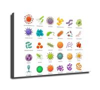 poster Microbiology Chart Wall Art, Bacteria & Virus Identification Poster, Scientific Illustration for Lab, Doctor Office, Classroom Decor(Framed,08x12inch(20x30cm))