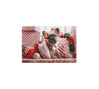 Poster moderno sweet dog Poster per arredo cucina salotto Poster di alta qualita