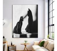 Poster Murali In Bianco E Nero Gatto Ombra,Immagine Su Tela Fotografare Gli Animali Stampa Artistica Parete Pittura Decorazione Soggiorno Per Camera Da Letto 50X70Cm Senza Cornice