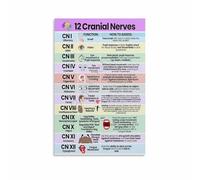 poster Neuroanatomy Study Aid, 12 Cranial Nerves Functions & Mnemonics Chart, Educational Wall Decor for Med Student, PT, OT, SLP Office or Dorm Room(Framed,16x24inch(40x60cm))