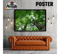 POSTER PAESAGGIO ALBERO TREE VERDE NATURA BETULLE BENESSERE MEDITAZIONE QUALITY