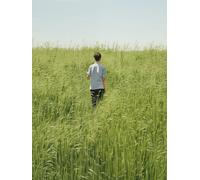 Poster passeggiata pacifica nei prati - arte da parete ispirata alla natura...