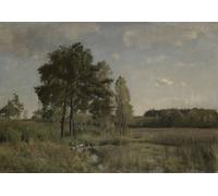 Poster Pastorale Alberi e Prati Albero Wall Art - 16x12/20x16/24x18/36x24