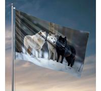 Poster per dormitorio universitario per ragazzi tre lupi in piedi nella neve. Bandiera estiva bandiera bandiera decorativa per la casa (60 x 90 cm)