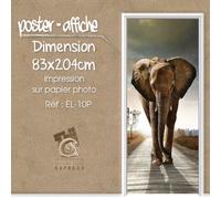 Poster Porta Decorativa Trompe L'Oeil - Elefante - EL10P - 4 Dimensioni