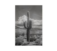 Poster retrò con cactus, stampa vintage in bianco e nero del deserto del Nevada, arte da parete USA, fotografia originale di cactus, poster su tela decorazione americana da parete per soggiorno camera