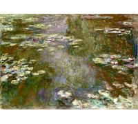 Poster riflessi giardino acquatico arte floreale da parete -...