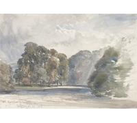 Poster scena fiume foresta pieno di luce arte da parete forestale -...