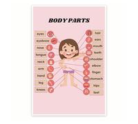 poster Science Classroom Decor Anatomy Poster, Human Body Chart for Kids Biology Learning, Educational Homeschool Teaching Aid(Unframed,12x18inch(30x45cm))