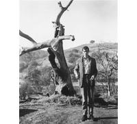 Poster Stampa Anthony Perkins 24x20" Foto Fine 189049