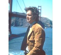 Poster Stampa MICHAEL DOUGLAS 24x20" Immagine Bellissima 278338