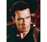 Poster Stampato Di ARNOLD SCHWARZENEGGER Come U.S. MARSH 24x20"