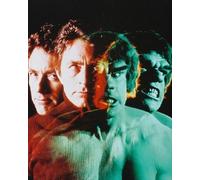 Poster Stampato Di BILL BIXBY Nei Panni Di Dr. David Bruce Banne 24x20"