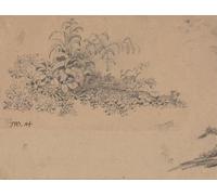 Poster "Studio del sottobosco", stampa di James Ward (24 x 36)