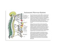 Poster su tela con chiropractic at an autonomic nervous system health clinic, decorazione per camera da letto, ufficio, stanza, regalo, 20 x 30 cm