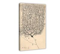 Poster su tela con disegno di neurone di Santiago Ramón Y Cajal-standard-scale-2_00x-gigapixel, decorazione da parete per camera da letto, ufficio, stanza, regalo, cornice 40 x 60 cm