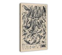 Poster su tela con immagine di specie di uccelli, grafico a guarda, stile vintage, illustrazione artistica da parete per aula e la conoscenza, poster decorativo moderno per camera da letto, 40 x 60 cm