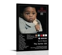 Poster su tela di Lil Wayne Tha Carter III, decorazione artistica da parete per soggiorno moderno, per camera da letto, per la famiglia, la camera da letto, il film e la musica, 20 x 30 cm, con