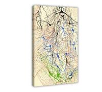 Poster su tela di Santiago Ramón Y Cajal con cellule nervose, decorazione da parete per camera da letto, ufficio, camera da letto, regalo, 40 x 60 cm