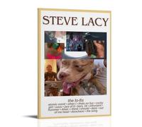 Poster su tela di Steve Lacy, "The LO-FIS", stile moderno e semplice, adatto per varie scene di vita, è anche un ottimo regalo di compleanno come souvenir a scelta, cornice stile 20 x 30 cm