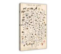 Poster su tela, motivo: albero della vita, evoluzione biologica, stile retrò, decorazione artistica da parete per soggiorno, camera da letto, 50 x 75 cm