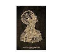 Poster su tela, motivo: anatomia, scheletro anatomico, lavagna, stile vintage, decorazione per la casa, la stanza della medicina, per studenti, poster su tela, stampa artistica da parete per soggiorno