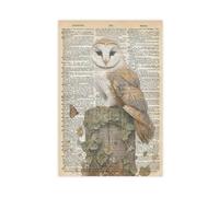 Poster su tela, motivo: Enciclopedia del Barbagianni (20 x 30 cm)