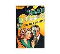 Poster su tela, motivo: The Bat Whispers, decorazione artistica da parete per soggiorno, camera da letto, 60 x 90 cm