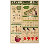 Poster sulla conoscenza del cricket Targhe in metallo Regole di base del cricket Targhe vintage Decorazioni per la camera degli atleti Decorazioni per la parete del garage del club 8x12 pollici