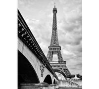 Poster/Tela Canvas - Vintage Francia B/N Parigi Paris - Torre Eiffel - 50x70cm - Tela Canvas