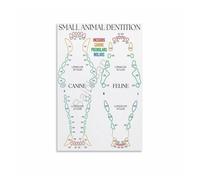 poster The Pet Dentist's Reference: Dog & Cat Teeth Chart Poster - Unframed Canvas Print for Animal Dental Specialist, Mobile Clinic(Framed,08x12inch(20x30cm))