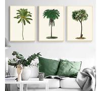 Poster tropicale palma vintage stampe palme botaniche arte murale tela quadro quadro decorazione casa 49,8 x 69,8 cm (50 x 70 cm) 3pcs senza cornice