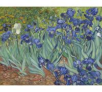 Poster Van Gogh Saint-Rémy Les Iris 1889