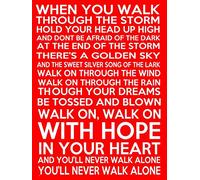 Poster vintage divertente in metallo con scritta "When You Walk Through The Storm", 20 x 30 cm