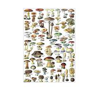 poster Vintage Mushroom Chart Print - Antique Style Botanical Mycology Poster - Educational Wall Art Decor for Home Office, Study, or Cabin Living Room(Unframed,12x18inch(30x45cm))