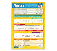 poster Visual Algebra Guide - Large Educational Poster Includes Formulas, Examples & Self-Check Quiz, Perfect for Test Prep & Classroom Wall Display(Unframed,12x18inch(30x45cm))