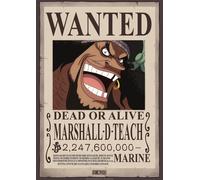 Poster Wanted One Piece Luffy Zoro Sanji Trafalgar Law Nami Usopp