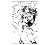 Poster Wonder Woman Amazon (DVD)