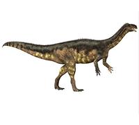 Posterazzi PSTCFR200500PLARGE Plateosaurus era un prosauropode dinosauro erbivoro che viveva nell'era triassica dell'Europa, 32 x 24