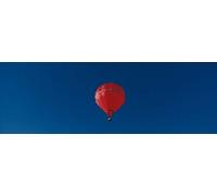Posterazzi Questa è la 25a festa internazionale annuale di Albuquerque. Mostra una parte rossa dell'ascensione di massa di palloncini colorati. Stampa poster, (36 x 12), varia
