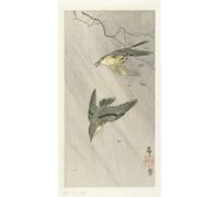 POSTERIIk Dipinti Famosi Arte della tela Poster con artistiche Dos pavos reales en la rama de un árbol de Ohara Koson per Decorazioni per la Casa 60x90cm