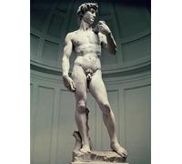 POSTERIIk Dipinti Famosi Arte Dipinto Pittura Astratta David de Miguel Ángel Buonarroti per Decorazioni per la Casa 60x90cm