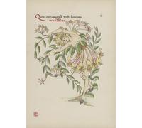 POSTERIIk Dipinti Famosi Arte Dipinto Pittura Astratta Flores del jardín de Shakespeare de Walter Crane per Decorazioni per la Casa 60x90cm