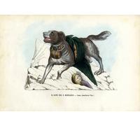 POSTERIIk Dipinti Famosi Murale Tela Vintage Quadri Earl Spencer el Mensajero de la Paz de Carlo Pellegrini per L'arredamento del Soggiorno 60x90cm