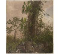 POSTERIIk Dipinti Famosi Murale Tela Vintage Quadri Higuera y filodendro salvaje por Frederic Edwin Church per L'arredamento del Soggiorno 60x90cm