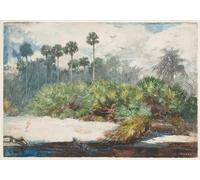 POSTERIIk Dipinti Famosi Pittura Immagine Tela Dipinti d'arte graffiti En una jungla de Florida de Winslow Homer per Decorazioni per la Casa 60x90cm