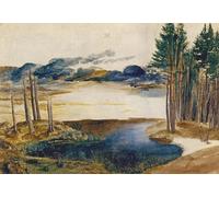 POSTERIIk Dipinti Famosi Pittura Immagine Tela Dipinti d'arte graffiti Estanque en el bosque de Albrecht Dürer per Decorazioni per la Casa 60x90cm
